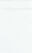 Remo Gloss White